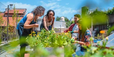 A diverse group of people working together in an urban rooftop garden, cultivating plants and building community resilience.
