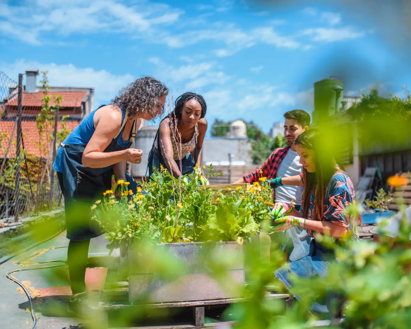 A diverse group of people working together in an urban rooftop garden, cultivating plants and building community resilience.